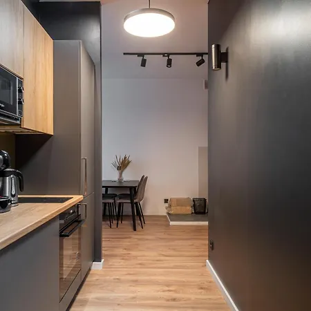 Lienes Iela Gem 1br With Fireplace In Historic Unesco Center Lägenhet Riga