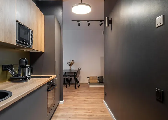 Lienes Iela Gem 1br With Fireplace In Historic Unesco Center 아파트 리가