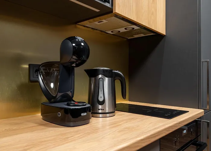 Lienes Iela Gem 1br With Fireplace In Historic Unesco Center * 리가